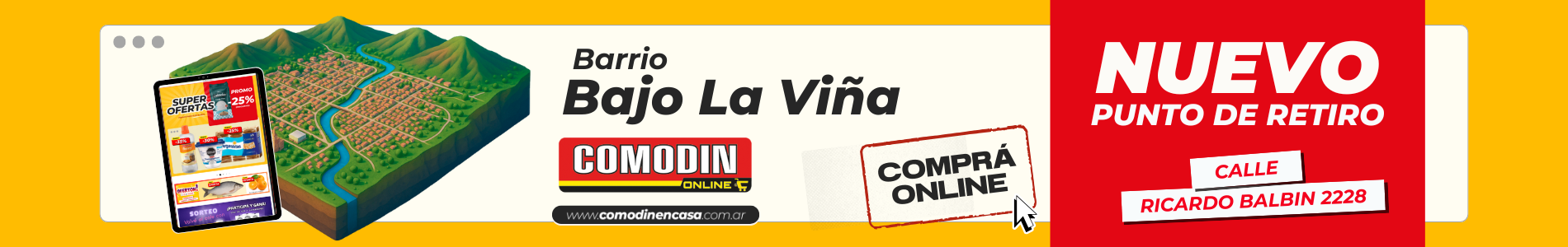 LA VIÑA web